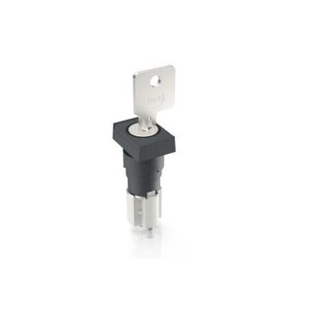 Rafi Lumotast 75 Ip40 Keylock Switch 1.15.108.661/0100